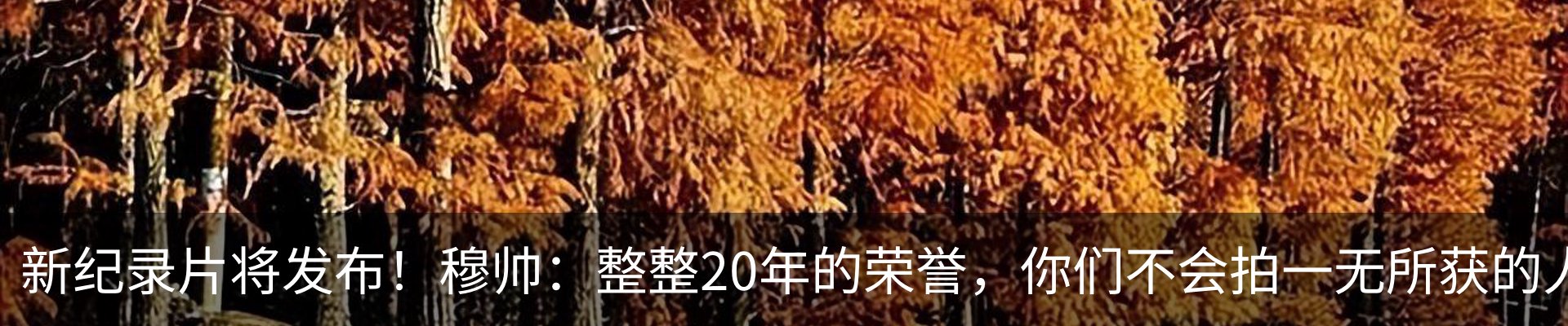 内页banner